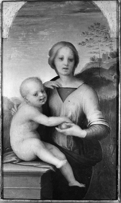 Madonna con Bambino (dipinto) di Andrea d'Agnolo detto Andrea del Sarto (at